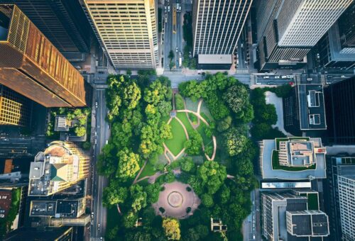 Nature-Based Solutions: Why the Best Technology for Saving the Planet Might Already Exist