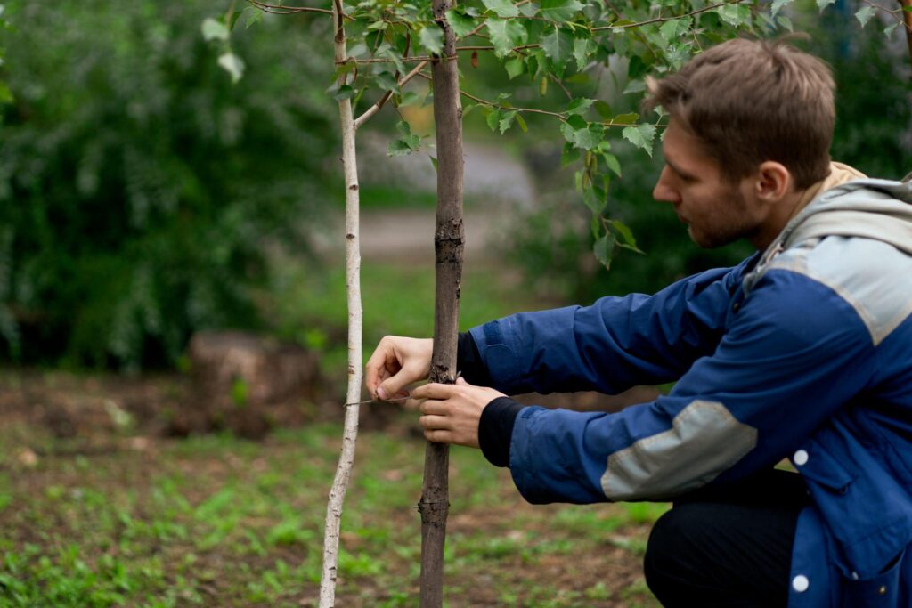 The Science of Tree Survival: Why the First Five Years Decide a Forest's Future ekojdcubvsaysukl6jwwfsw9 7h2ycg6 dxug boxndw3boyuddjvxwdhimvri9zyd0ubq0fu95ckmicynxjzbeylzmbucib8c1wtlhu 4wiuxntumpw1n1c k2suaucbi00u0wcvbj4nll3tboyubl8mrzy60ugxxhe9mqqzkf9amredodvki5uip34ijyg