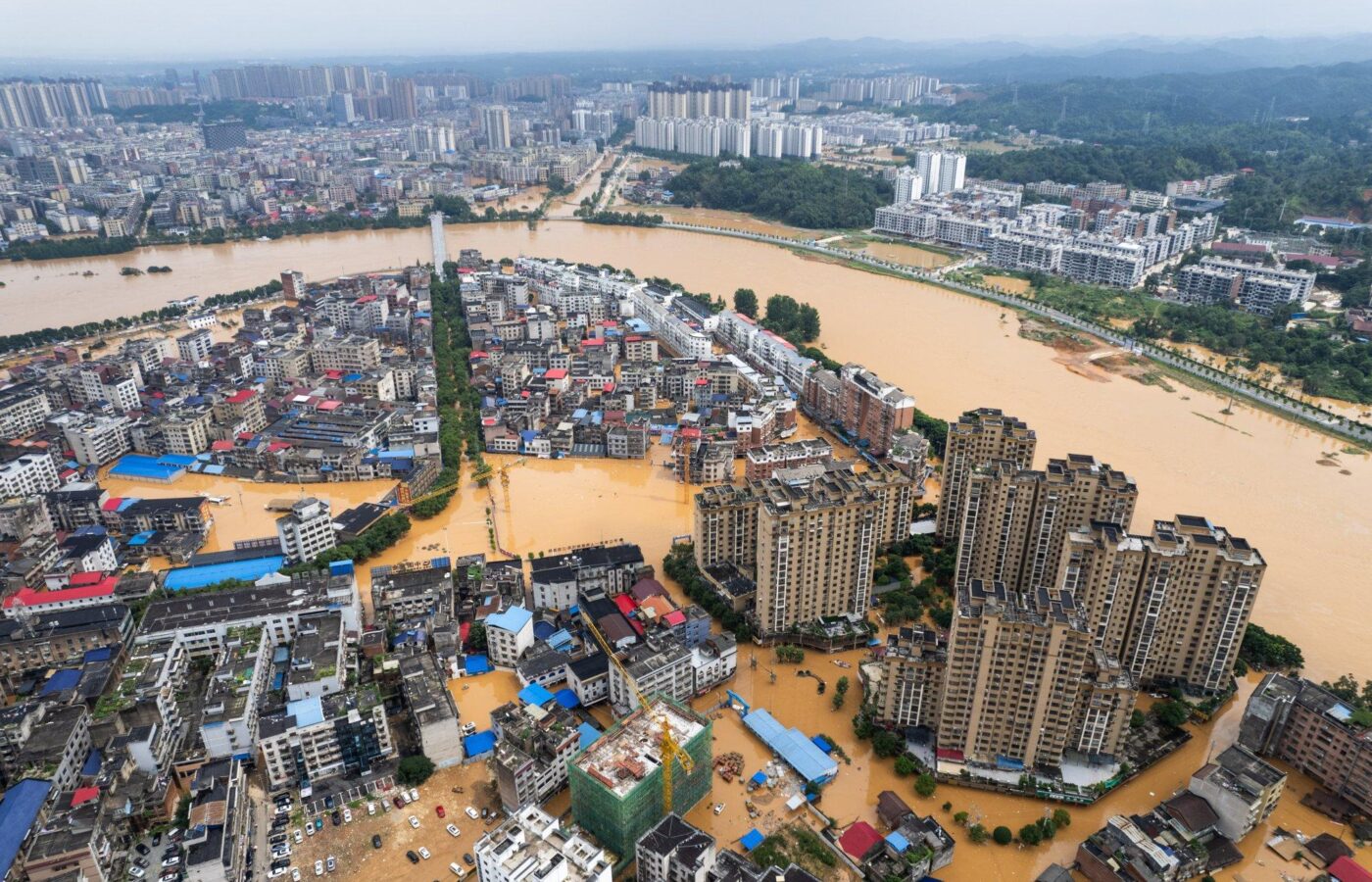 The Concrete Trap: How Modern Cities Are Blocking Nature’s Water Cycle