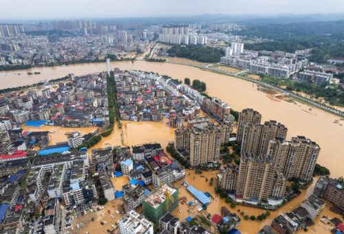 The Concrete Trap: How Modern Cities Are Blocking Nature’s Water Cycle