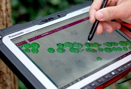 Beyond Planting: Why the Future of Environmental Conservation Depends on Transparency