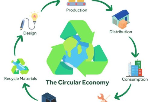 Waste is a Design Failure: Why the Future Economy Must Eliminate the Very Idea of Waste