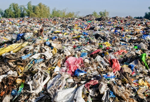 The Disposal Fallacy: How Fast Fashion’s Compounding Waste is Suffocating Our Ecosystems