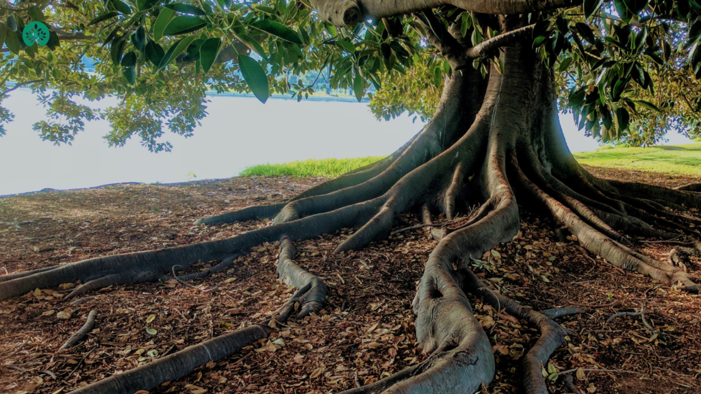 untitled design (5)