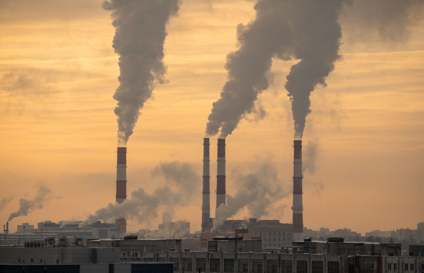 The Fresh Air Illusion: Why Planting Trees Alone Cannot Solve Air Pollution