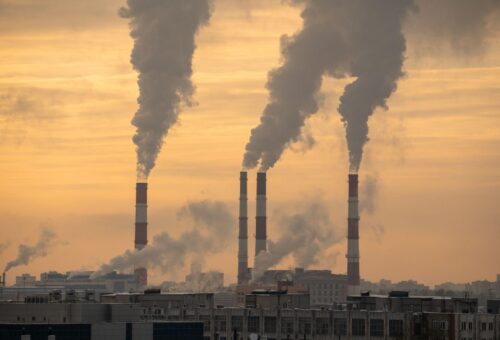 The Fresh Air Illusion: Why Planting Trees Alone Cannot Solve Air Pollution
