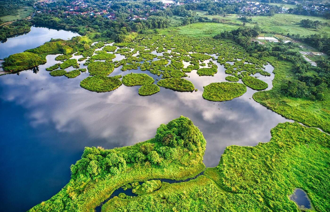 The Economy Nature Built for Free: Why Ecosystem Services May Be the World’s Most Valuable Invisible Asset