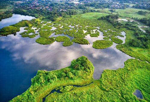 The Economy Nature Built for Free: Why Ecosystem Services May Be the World’s Most Valuable Invisible Asset