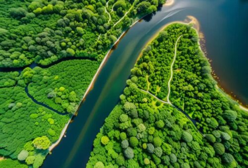 Natural Capital: Why Nature Should Be Recognized as the World’s Most Valuable Asset