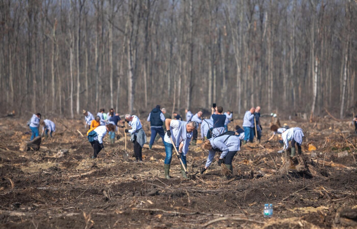 Why Plantation Drives Fail: The Plant-and-Forget Epidemic