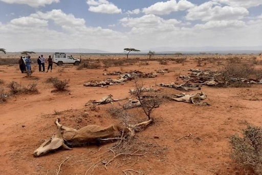 Drought Is Becoming a Global Food-Security Problem — The UN desertification summit is currently focusing on drought and land degradation. 1000268101