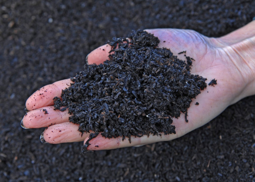 From Pilot to Policy: How Different Countries Are Implementing Biochar. 1000271812